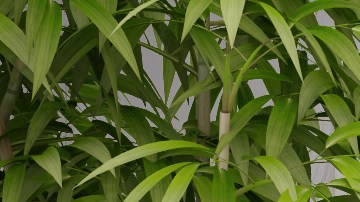 Ahorra dinero en la compra de artículos para el baño con las ofertas en Target.