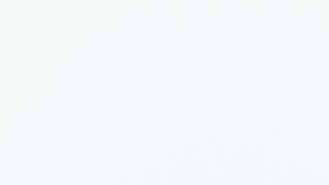 El Galentine's Day es una fecha especial para celebrar con amigas.