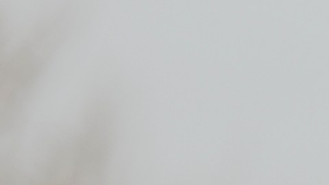 Las chaquetas de The North Face tienen grandes rebajas ern Macy's.