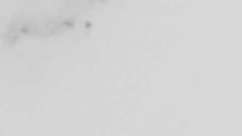 Dos labiales abiertos sobre superficie blanca, imagen ilustrativa sobre alternativas económicas a productos de belleza.