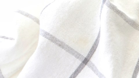 Las freidoras permiten cocinar más rápido, con menos aceite y obtener resultados crujientes