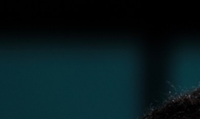 Auriculares con cable de regreso