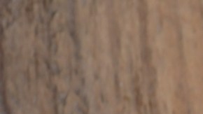 Muchos estadounidenses posponen hacer un testamento porque creen que es solo para ricos o que es demasiado complicado.