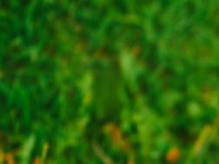 paquetería de amazon