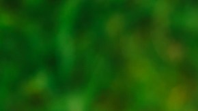 paquetería de amazon